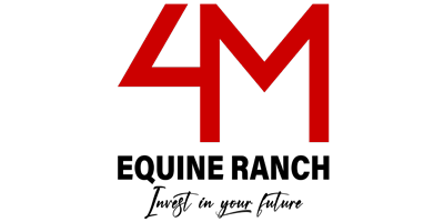 4M Equine Ranch (opens in a new tab)