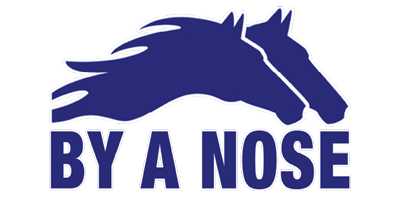 By A Nose (opens in a new tab)